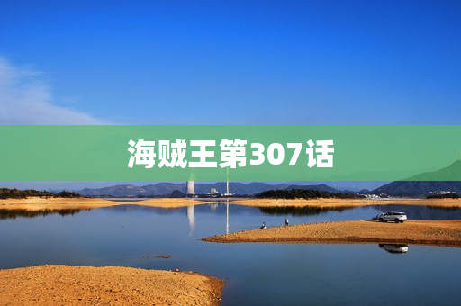 海贼王第307话