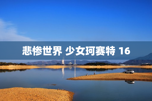 悲惨世界 少女珂赛特 16