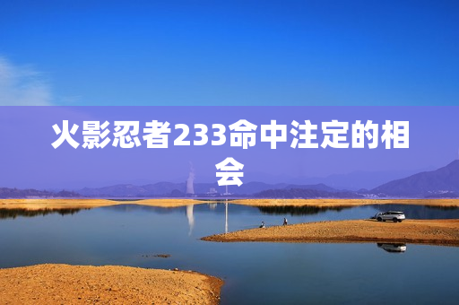 火影忍者233命中注定的相会