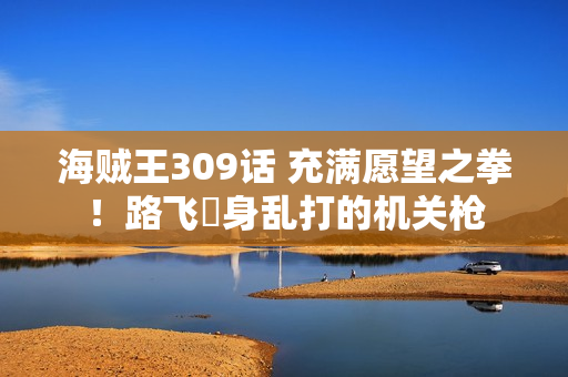 海贼王309话 充满愿望之拳！路飞渾身乱打的机关枪