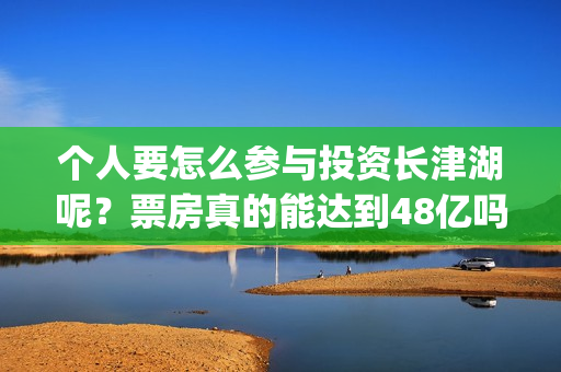 个人要怎么参与投资长津湖呢？票房真的能达到48亿吗？份额真实吗？(个人怎么参与储能电站)