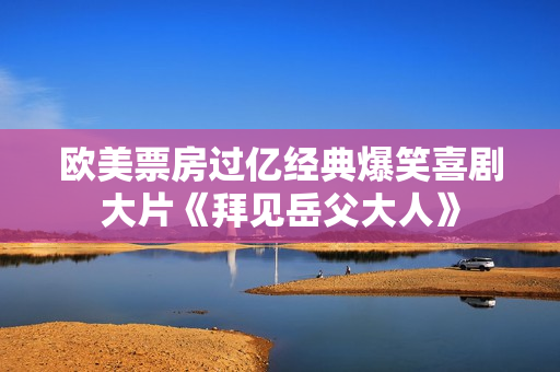 欧美票房过亿经典爆笑喜剧大片《拜见岳父大人》