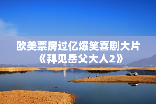 欧美票房过亿爆笑喜剧大片《拜见岳父大人2》