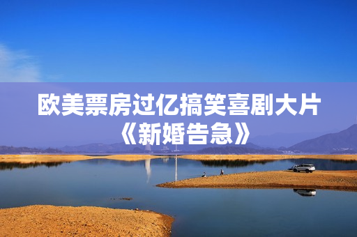 欧美票房过亿搞笑喜剧大片《新婚告急》