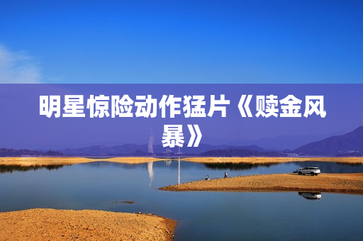 明星惊险动作猛片《赎金风暴》
