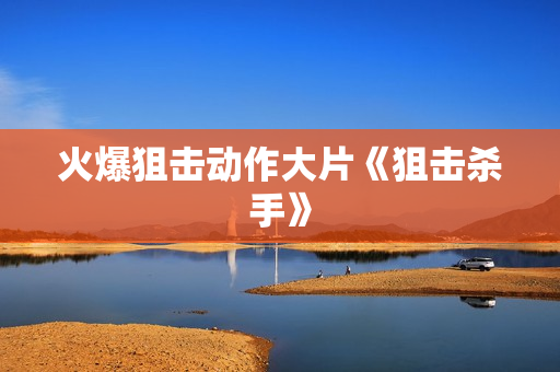 火爆狙击动作大片《狙击杀手》