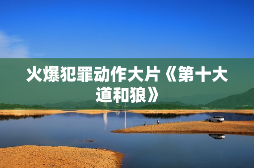 火爆犯罪动作大片《第十大道和狼》