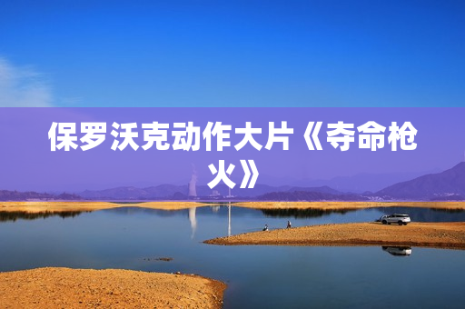 保罗沃克动作大片《夺命枪火》