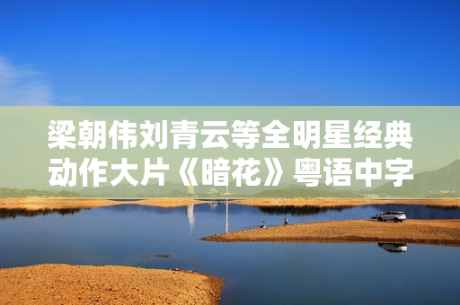 梁朝伟刘青云等全明星经典动作大片《暗花》粤语中字