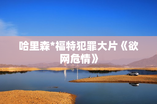 哈里森*福特犯罪大片《欲网危情》 哈里森*福特犯罪大片《欲网危情》