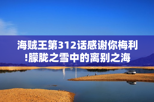 海贼王第312话感谢你梅利!朦胧之雪中的离别之海