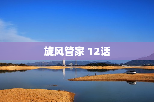 旋风管家 12话