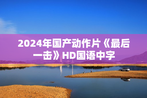 2024年国产动作片《最后一击》HD国语中字