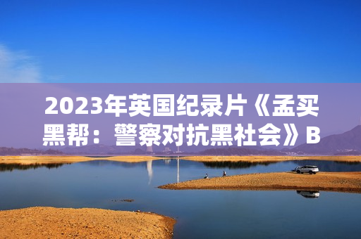 2023年英国纪录片《孟买黑帮：警察对抗黑社会》BD英语中字