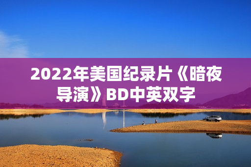 2022年美国纪录片《暗夜导演》BD中英双字