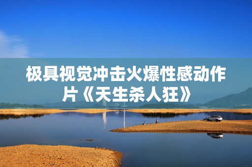 极具视觉冲击火爆性感动作片《天生杀人狂》
