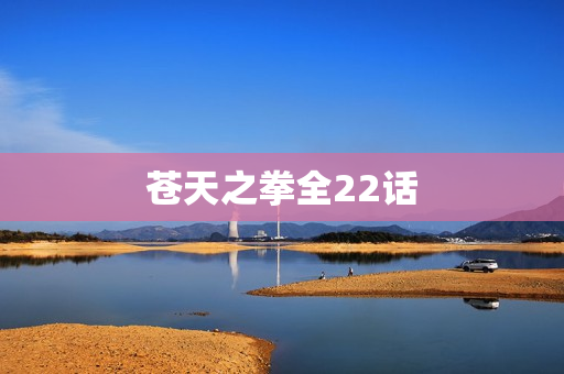 苍天之拳全22话