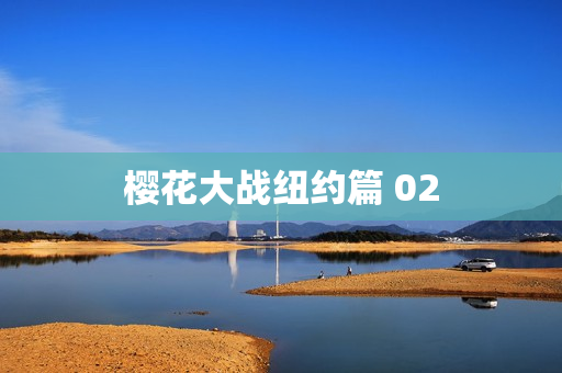 樱花大战纽约篇 02
