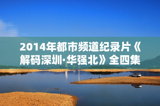 2014年都市频道纪录片《解码深圳·华强北》全四集