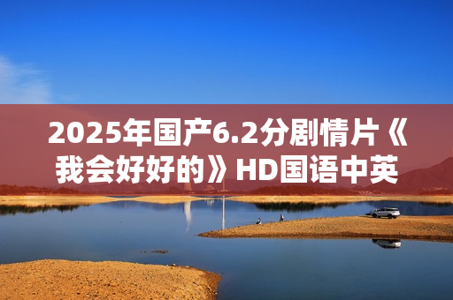 2025年国产6.2分剧情片《我会好好的》HD国语中英双字