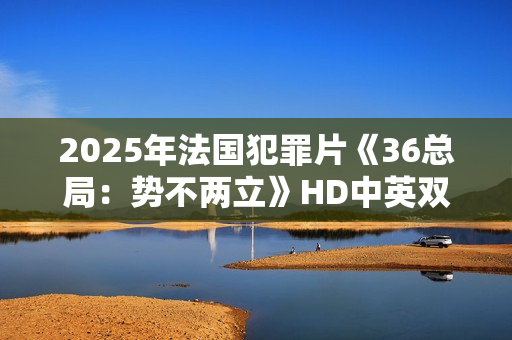 2025年法国犯罪片《36总局：势不两立》HD中英双字