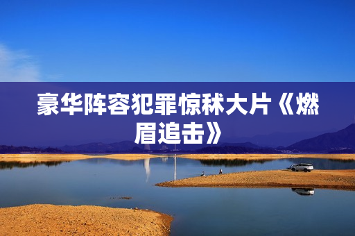 豪华阵容犯罪惊秫大片《燃眉追击》