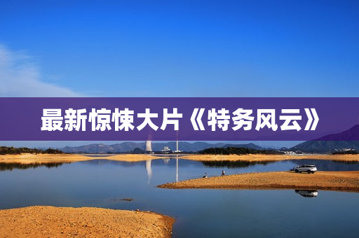 最新惊悚大片《特务风云》