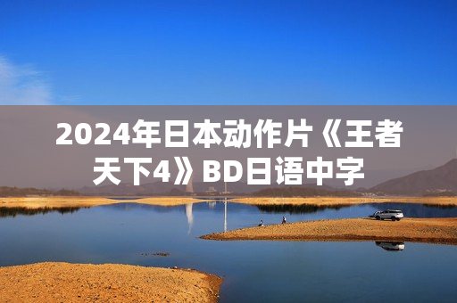 2024年日本动作片《王者天下4》BD日语中字