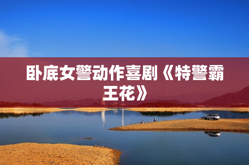 卧底女警动作喜剧《特警霸王花》