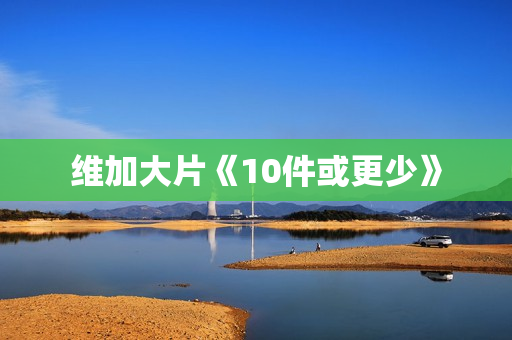 维加大片《10件或更少》
