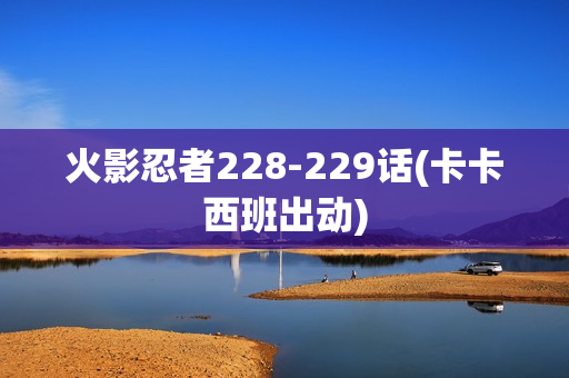 火影忍者228-229话(卡卡西班出动)