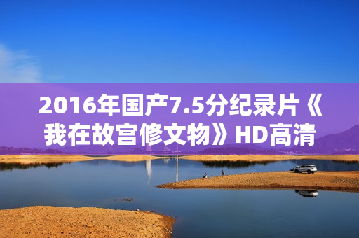 2016年国产7.5分纪录片《我在故宫修文物》HD高清国语中字