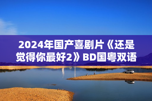 2024年国产喜剧片《还是觉得你最好2》BD国粤双语中字