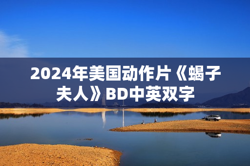 2024年美国动作片《蝎子夫人》BD中英双字