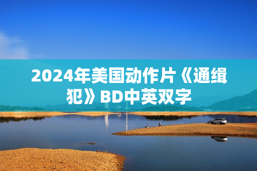 2024年美国动作片《通缉犯》BD中英双字