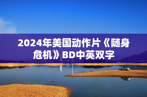 2024年美国动作片《随身危机》BD中英双字