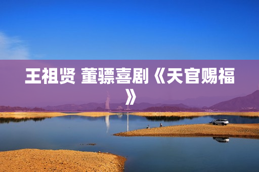 王祖贤 董骠喜剧《天官赐福》