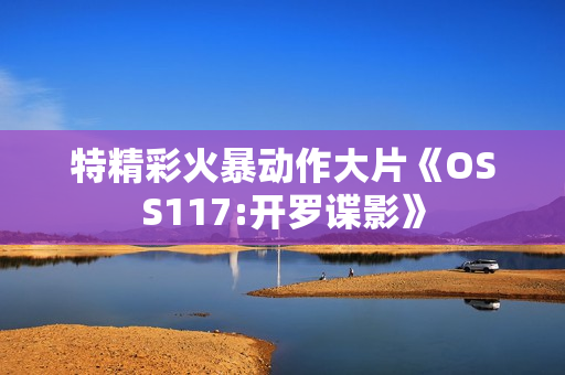 特精彩火暴动作大片《OSS117:开罗谍影》
