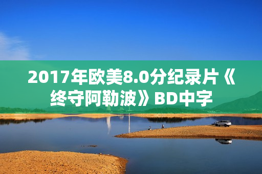 2017年欧美8.0分纪录片《终守阿勒波》BD中字