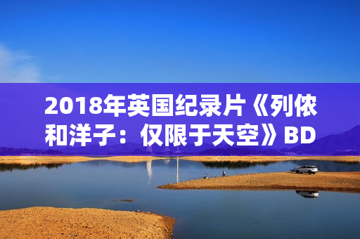 2018年英国纪录片《列侬和洋子：仅限于天空》BD中英双字