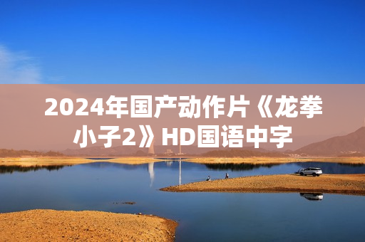 2024年国产动作片《龙拳小子2》HD国语中字