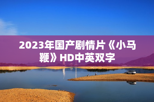 2023年国产剧情片《小马鞭》HD中英双字