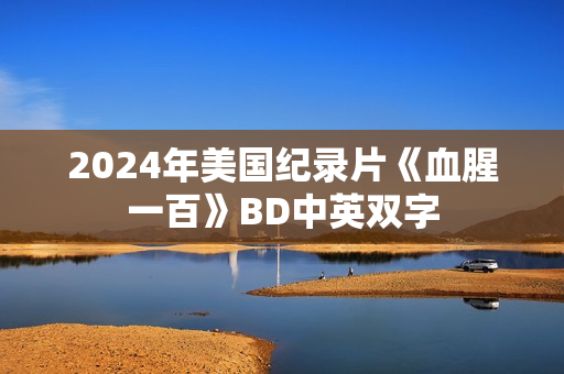 2024年美国纪录片《血腥一百》BD中英双字