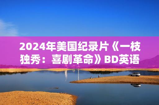 2024年美国纪录片《一枝独秀：喜剧革命》BD英语中字