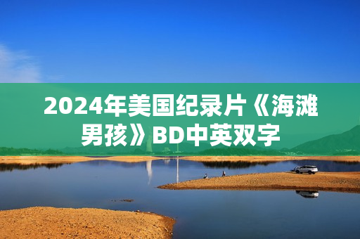 2024年美国纪录片《海滩男孩》BD中英双字