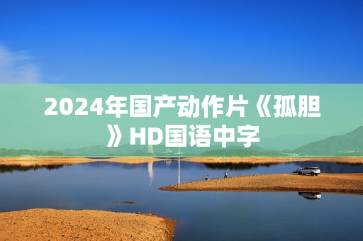 2024年国产动作片《孤胆》HD国语中字