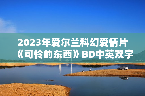 2023年爱尔兰科幻爱情片《可怜的东西》BD中英双字