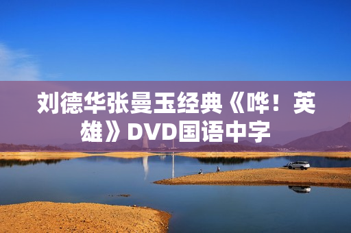 刘德华张曼玉经典《哗！英雄》DVD国语中字