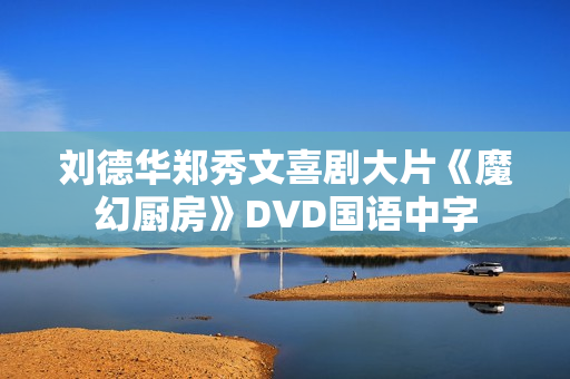 刘德华郑秀文喜剧大片《魔幻厨房》DVD国语中字