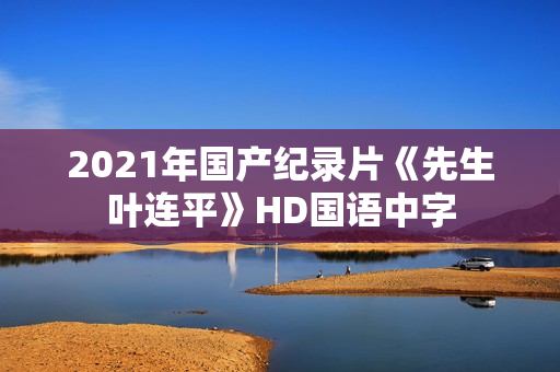 2021年国产纪录片《先生叶连平》HD国语中字